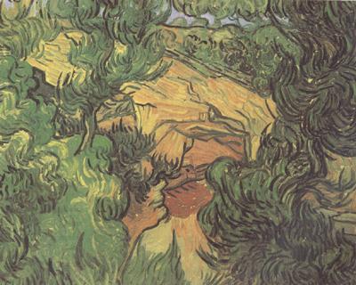 Vincent Van Gogh Entrance to a Quarry (nn04) oil painting picture